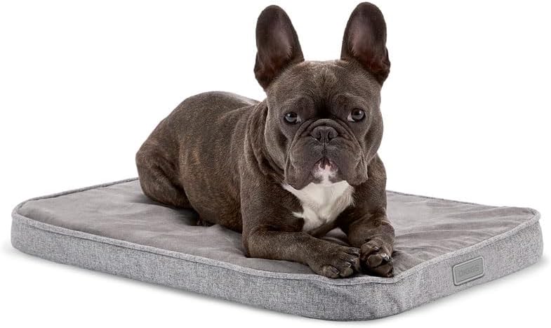 Diggs Snooz Orthopedic Memory Foam Dog Crate Pad, Grey, Small