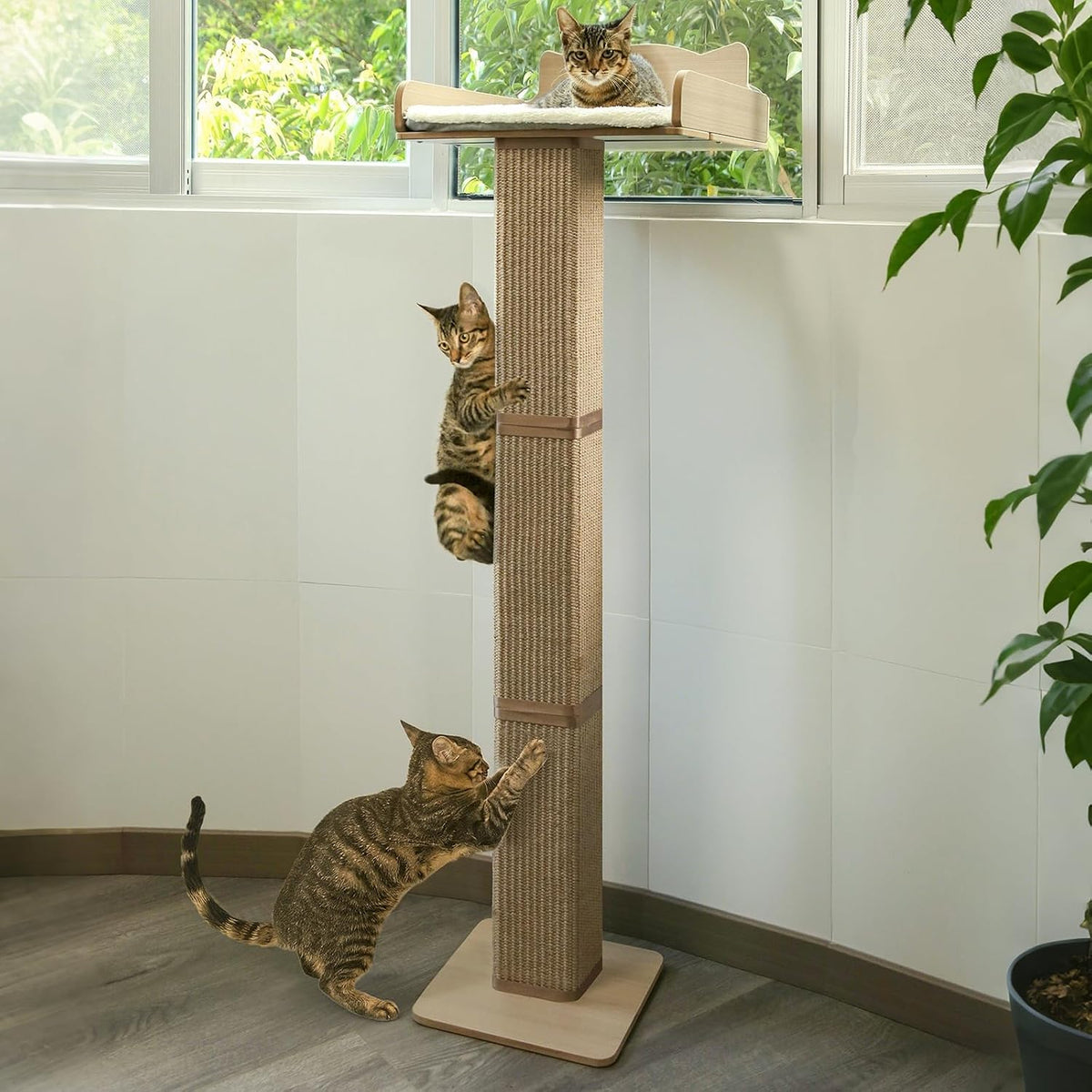 Cat Window Perch with Thick Sisal Scratching Post, Cat Hammock for Window, 53.5" Adjustable Tall Cats Scratching Post with 2 Upgrade Suction Cups, Cats Window Bed with Fluffy Cushion, Jute