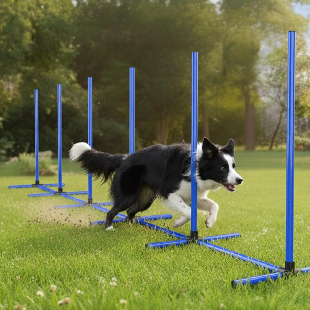 6 Weave Poles or 2 Hurdle Dog Agility Set, Indoor & Outdoor