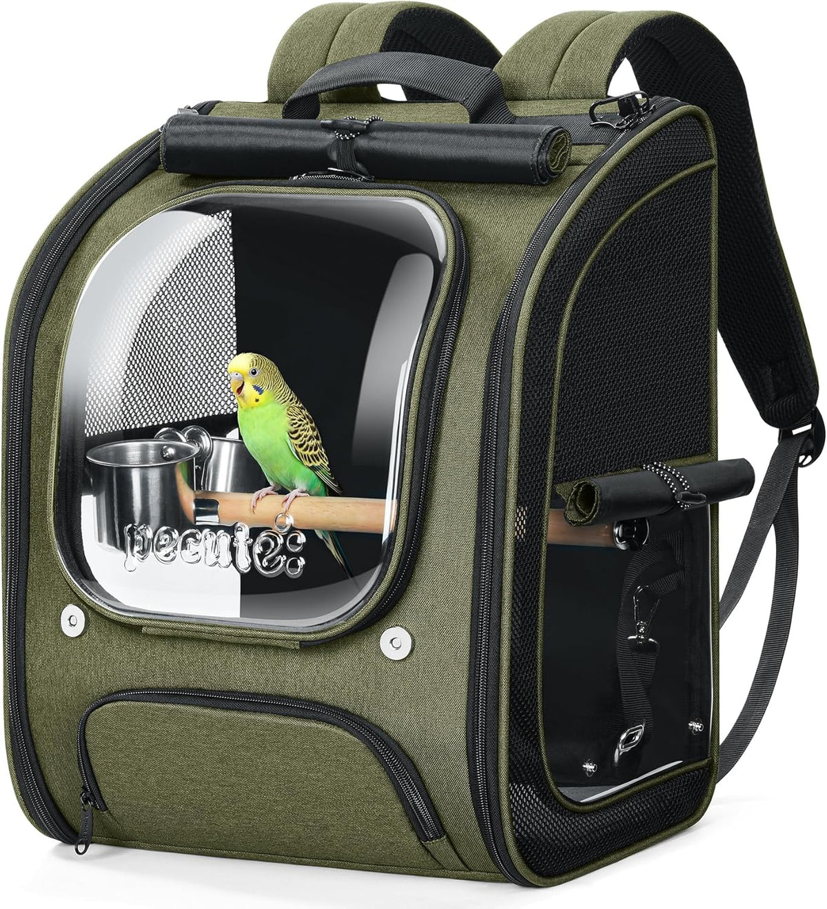 Pecute Bird Backpack Carrier with Standing Perch for Small Parrot, Green