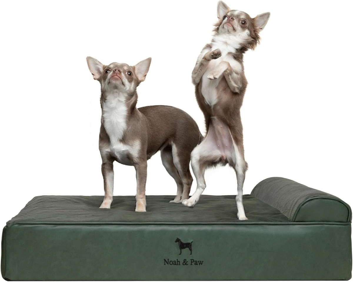 NOAH & PAW Dog Bed, 28X23X11 Inch, Orthopedic Dog Beds for Medium Size Pets, Eggshell Memory Foam Infused with Cooling Gel, Inner Cover, Water Resistant, Machine Washable