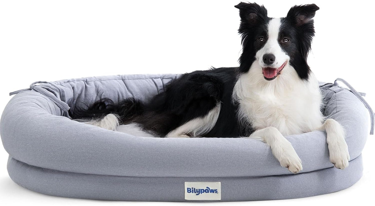 Orthopedic Dog Bed for Large Dogs, Pet Sofa Bed, XL, Gray