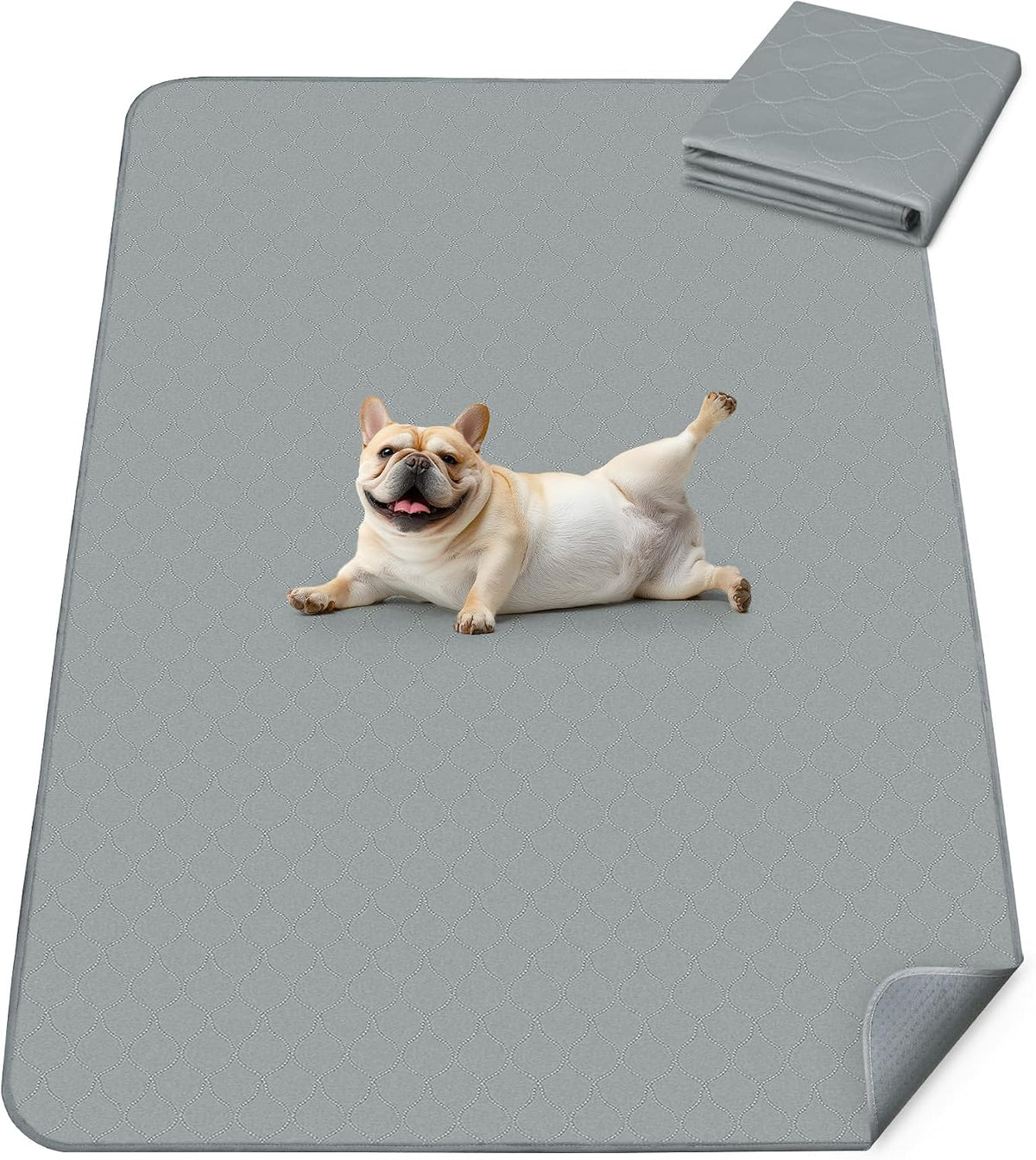 FXW Washable Pee Pads for Dogs, Super Absorbent, 39" X 63", 1 Pack