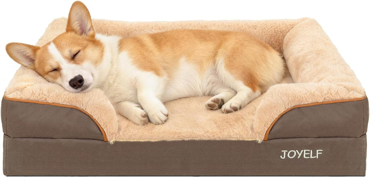 JOYELF Orthopedic Dog Bed for Medium Dogs, Foam Sofa Couch Bed, Bolster Pet Bed with Removable Washable Cover and Nonskid Bottom for Small to Medium Dogs - Coffee