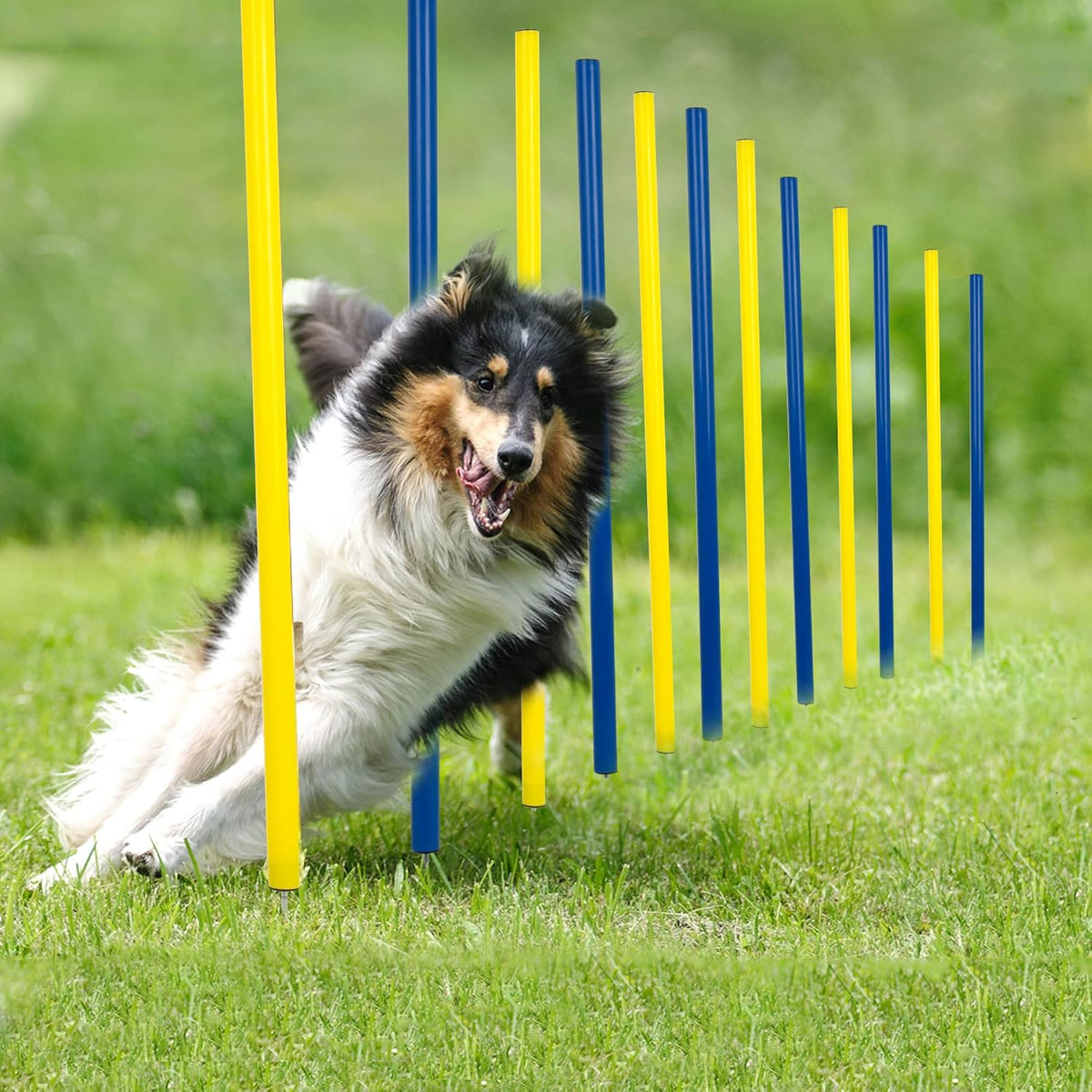 Pet Prime Dog Agility Training Equipment for Dog Obstacle Course Backyard 12Pcs Weave Poles Slalom Set Portable Dogs Park Exercise Tool