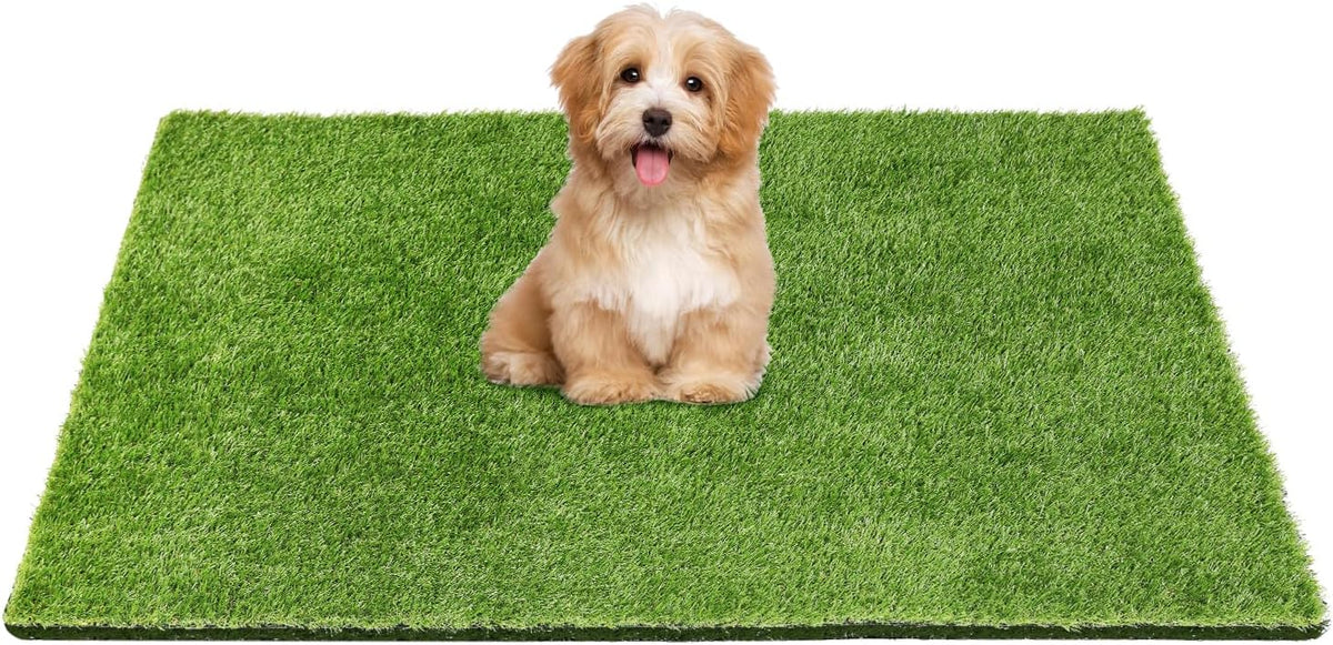36" X 24" Premium Artificial Grass Mat for Dogs Cats