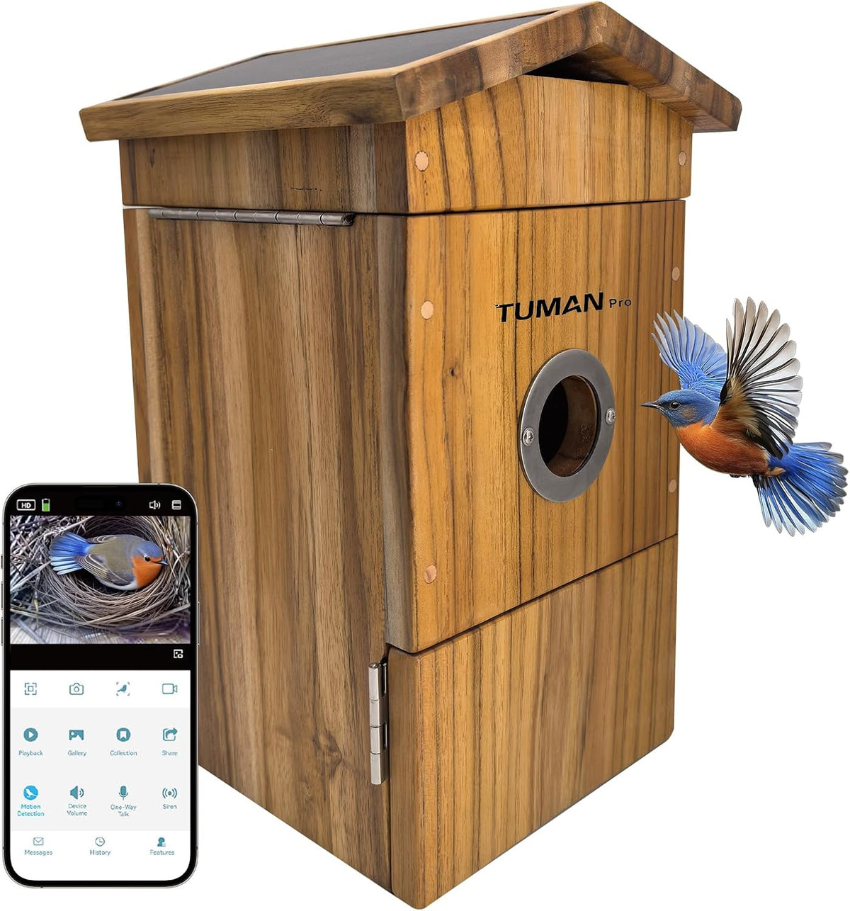 Smart Solar Powered Wifi Camera Birdhouse AI Bird House