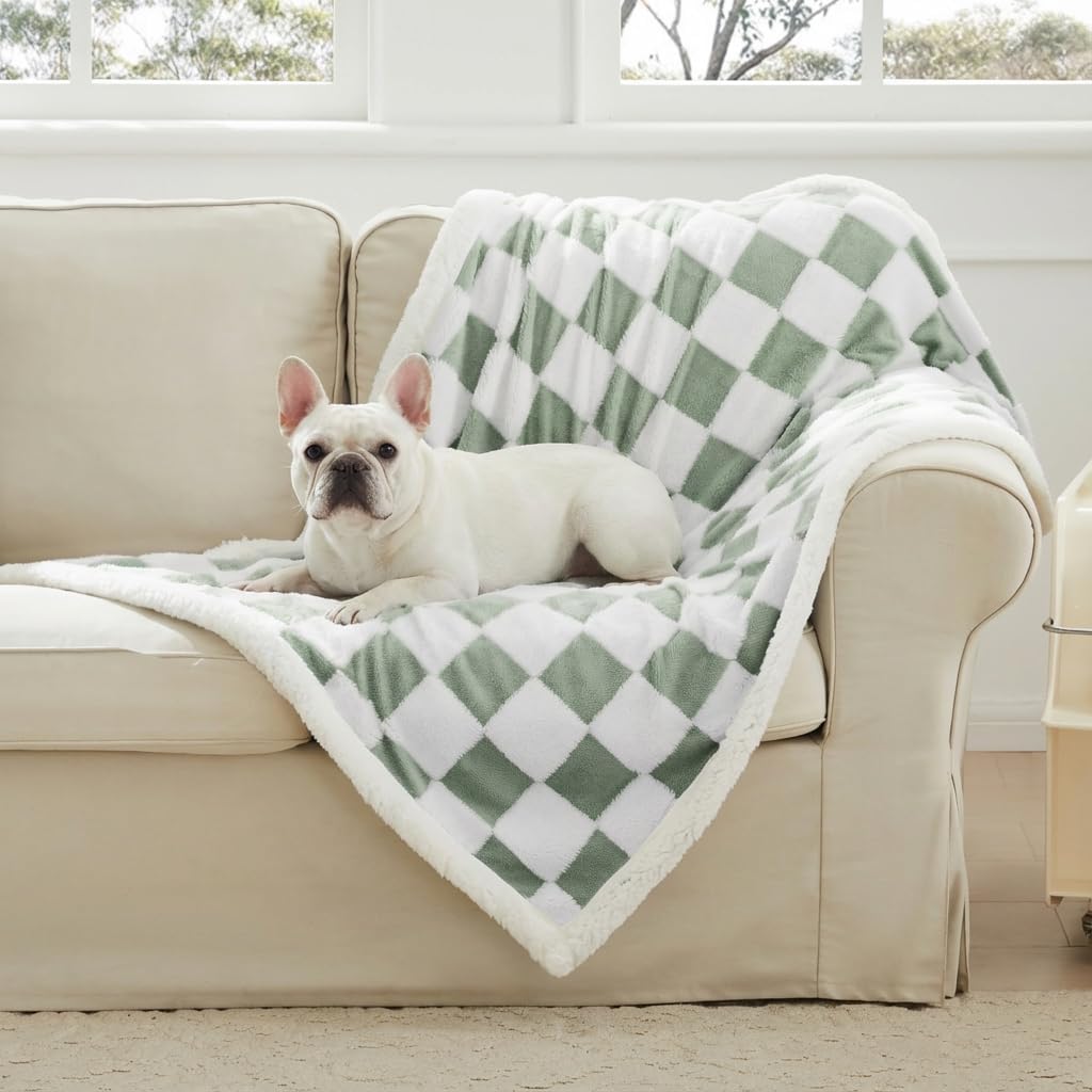 Ohocut Checkered Dog Blanket, Sage Green Jacquard Sherpa Blankets for Small Dog and Cats, Cute Aesthetic Style Fluffy Fleece Pets Blanket for Couch Protection Washable, 25"X35"