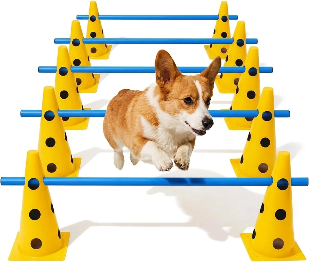 Dog Agility Equipment Set, 6 Adjustable Hurdles with 12 Cones and Poles