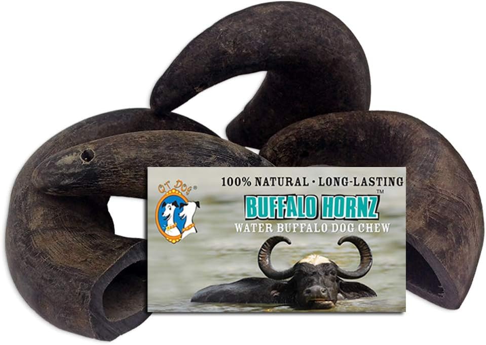 QT Dog Buffalo Hornz - Small (Pack of 4) | Long-Lasting 100% All-Natural Dog Chew | Ethically Sources Protein-Packed & Low Fat Dental Chews | Ideal for All Breeds & Aggressive Chewers |