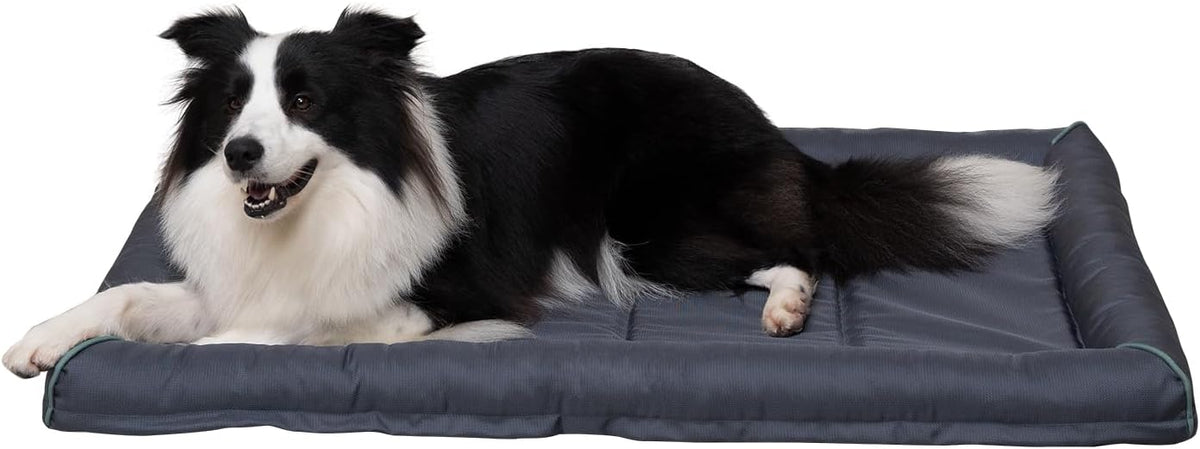 BALANCE Oxford Dog Bed for Large Dogs, Waterproof Dogs Crates Pad Outdoor Dog Crate Mat, Wipe Clean & Easy Rinse, 36 Inch