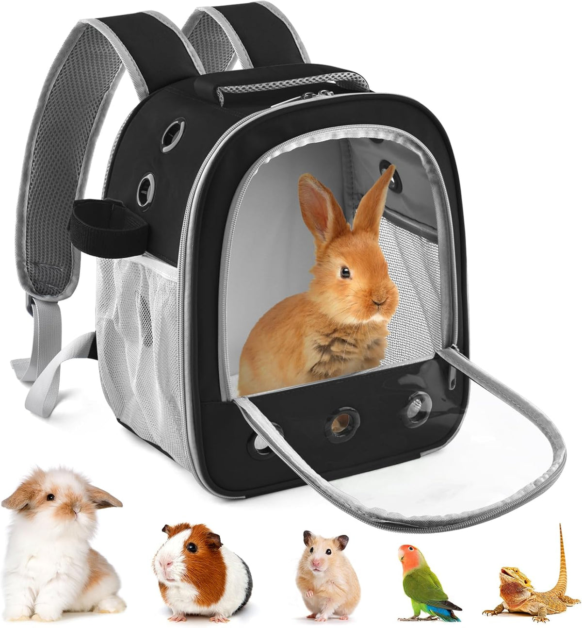 DBNESS Guinea Pig Carrier Backpack, Portable Rabbit Travel Carring Bag for Pet Bunny Chinchilla Bearded Dragon Hamster Parrot Outgoing Pouch Case with Water Bottle Holder & Detachable Pad (Black)