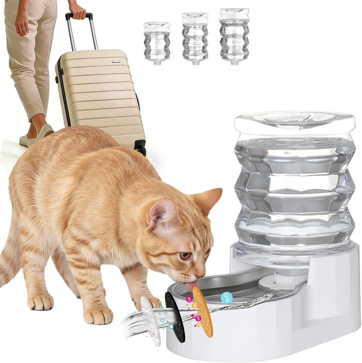 RIZZARI 5L Cat Water Dispenser: Stainless Steel Bowl for Daily Hydration