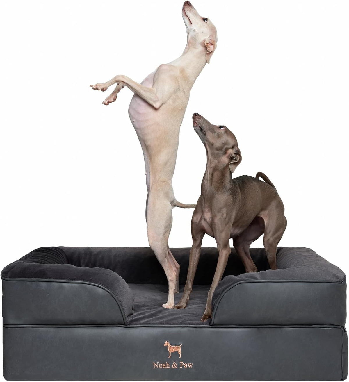 NOAH & PAW Dog Bed, Orthopedic Memory Cooling Foam (2X Base) 35X25X11In