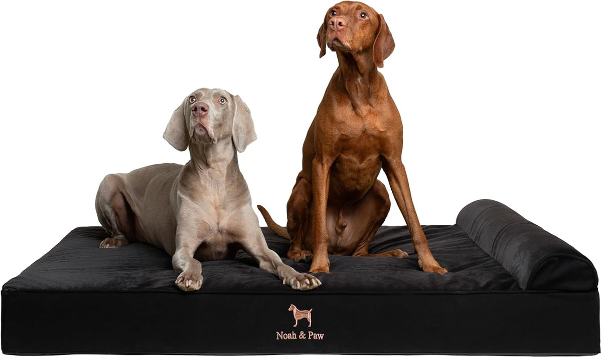 NOAH & PAW Giant Dog Bed XXL 55X45X9.5 Inch, Orthopedic Dog Beds, Eggshell Memory Foam Infused with Cooling Gel, Water Resistant, Machine Washable, Includes Inner Cover (Velvet Collection)