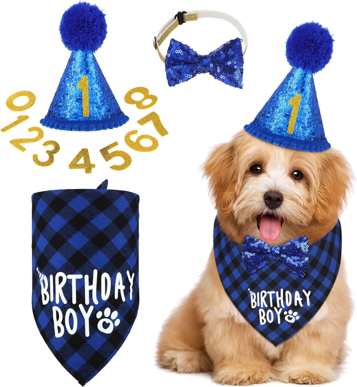 Dog Birthday Party Supplies for Large Medium Dog, Elegant Style Medium