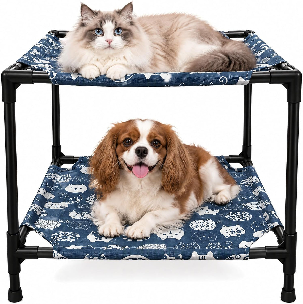 Furniture for Small and Medium-Sized Cats and Dogs on Elevated Double Deck