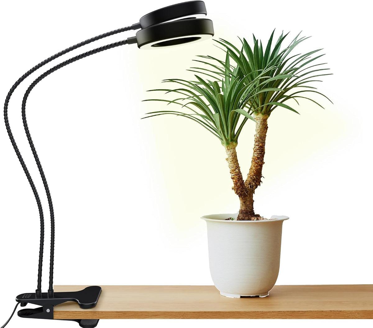 OSANI LED Grow Lights for Indoor Plants, 24" Full Spectrum Plant Light with Gooseneck Clip on Clamp, Dimmable Desk Lamp, Auto Timer, Indoor Plant Grow Light