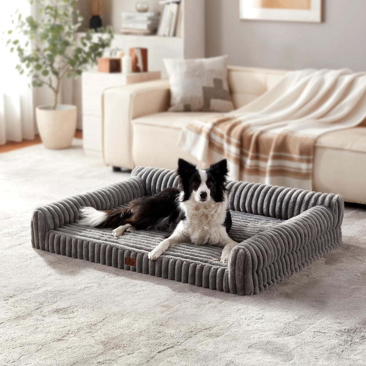Orthopedic Dog Bed Large 35X25X9.5” Washable Cover Grey