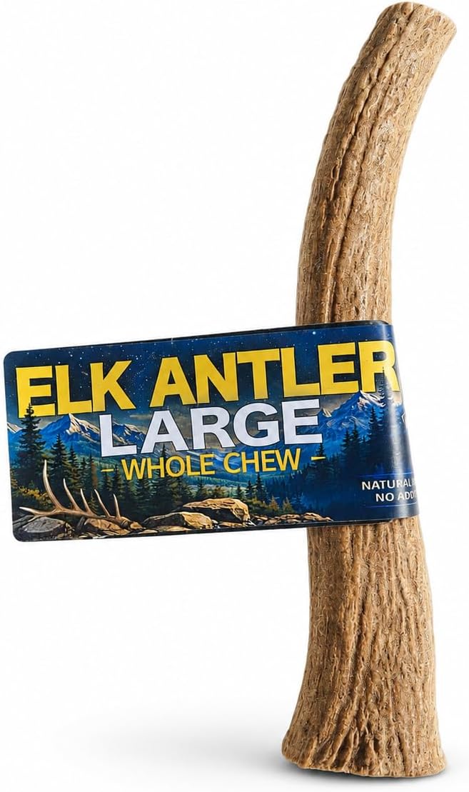 Elk Antlers for Dogs - Large Whole, Naturally Tough, Durable Dog Chew