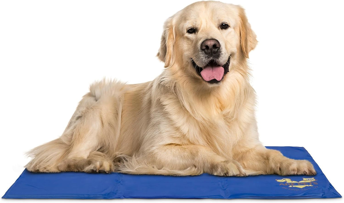 Arf Pets Dog Cooling Mat - Solid Gel Self-Cool Pad | Durable & Non-Toxic