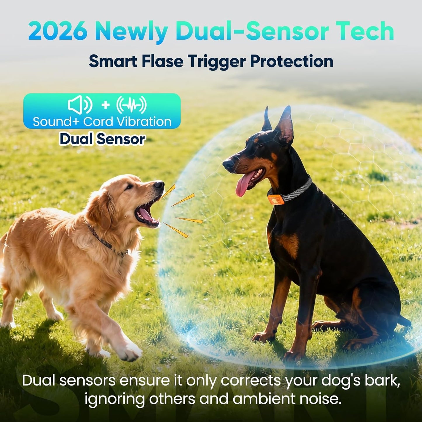 Dog Bark Collar for Large Medium Small Dogs, Effective No-Bark Collar, Smart Barking Collar, Rechargeable Bark Collar with 7 Sensitivity, 3 Modes, Waterproof,Neon Orange