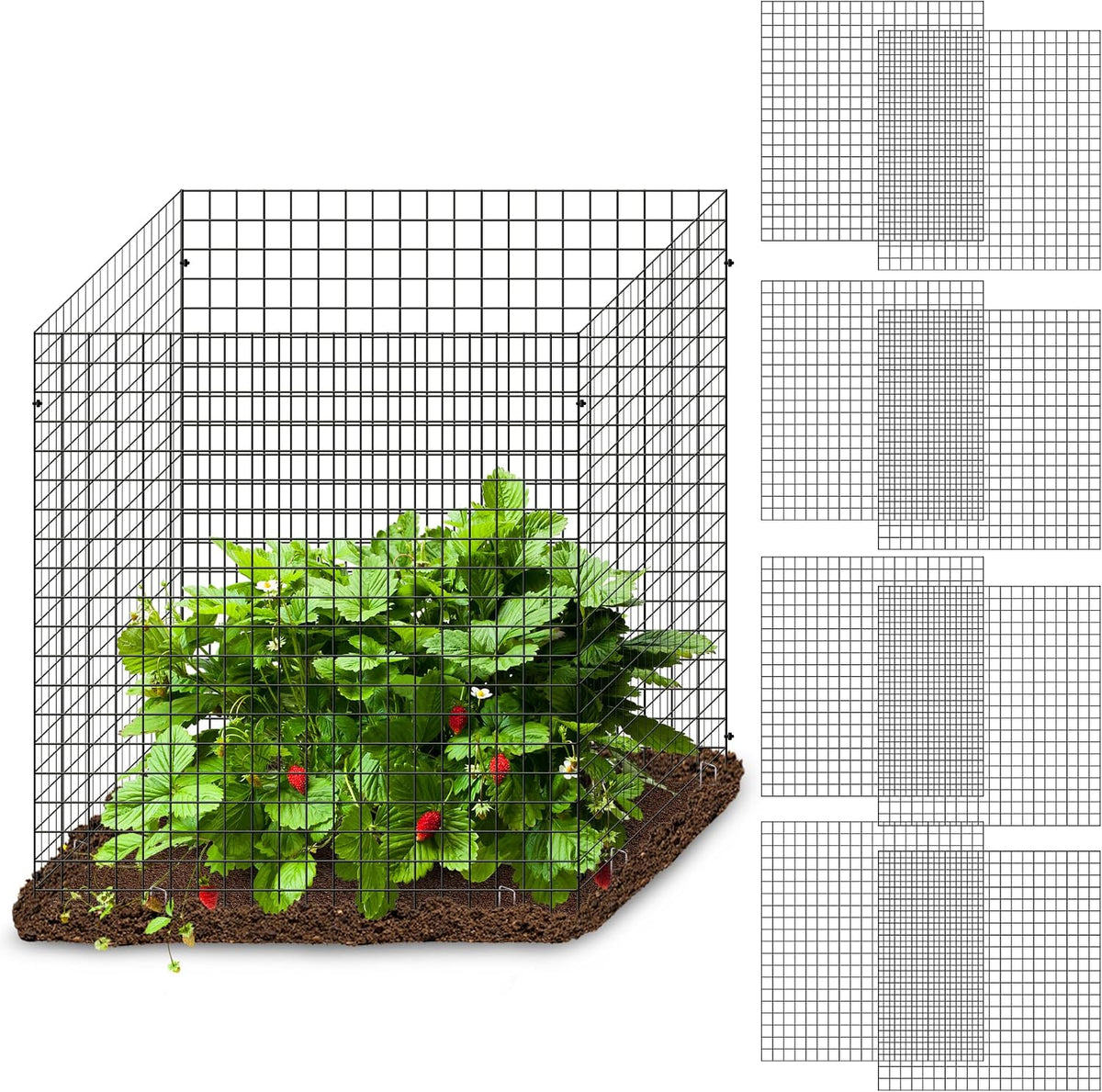 12 Pics DIY Metal Plant Protectors from Deer, Garden Fencing Animal Barrier Size 11.8 * 11.8 Inches, Mesh Plant Cage Chicken Wire Cloche for Plants with Stakes and Nylon Cables (12 Pcs)