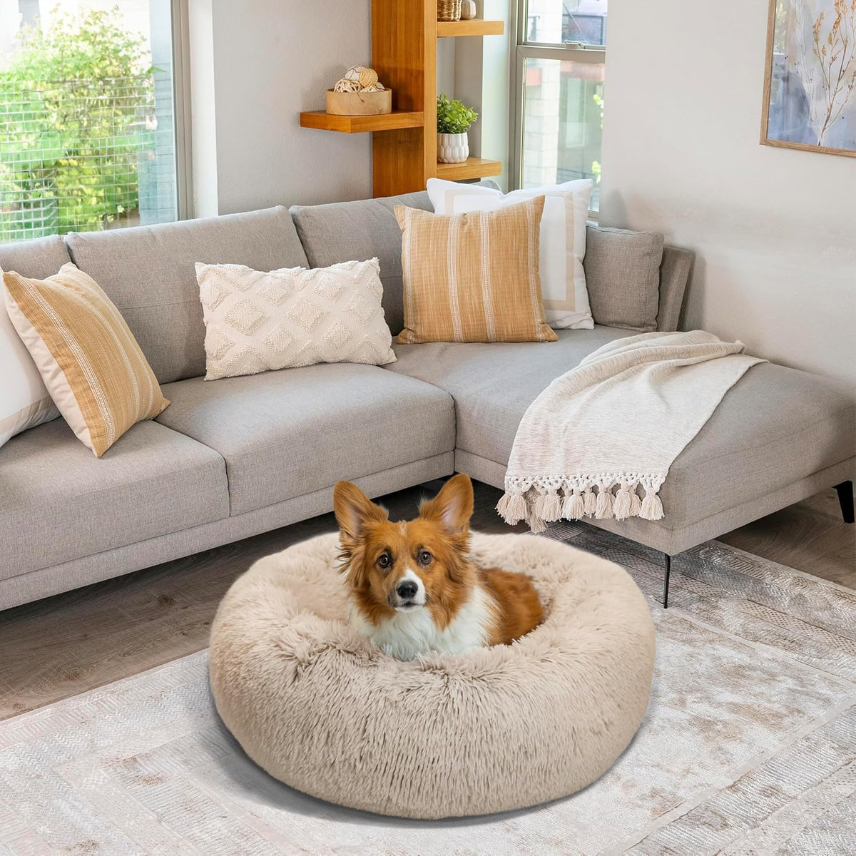 Best Friends by Sheri Original Calming Donut Dog Bed, Taupe, Medium, 30"
