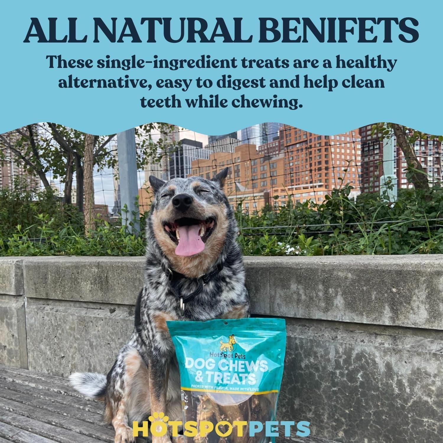 Hotspot Pets Premium Split Elk Antlers for Dogs - 7 Inch Large Dog Chews (2 Pack) Made in USA -Naturally Shed Antler Bone for Large Breed Chewers -Promotes Natural Dental Hygiene
