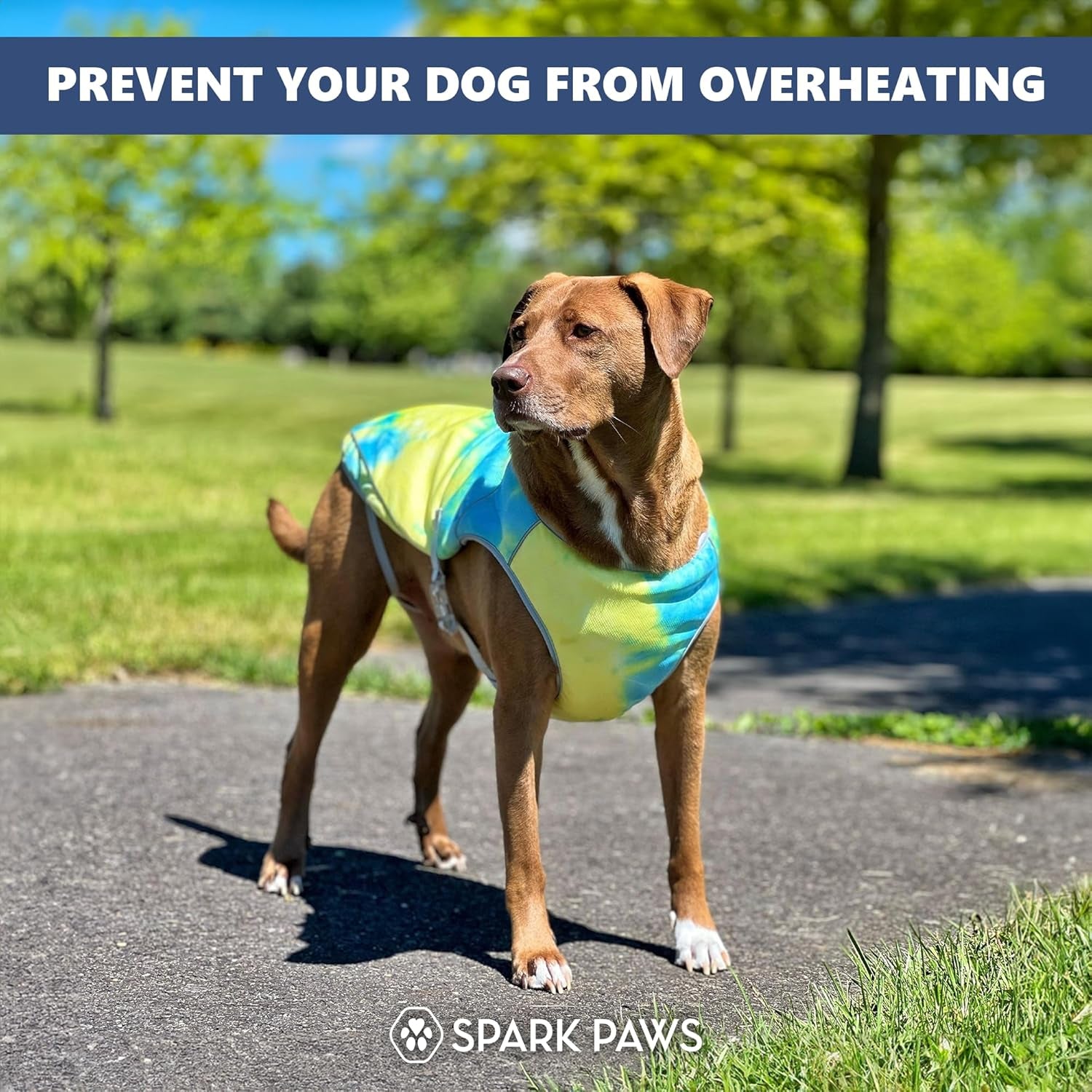 Spark Paws Dog Cooling Vest - SPF 50 UV Sun Protection - Summer Heat Relief Gear for Dogs, Lightweight, Evaporative Cooling - Dog Anxiety Relief Vest during Hot Days - Tropical Storm, XL