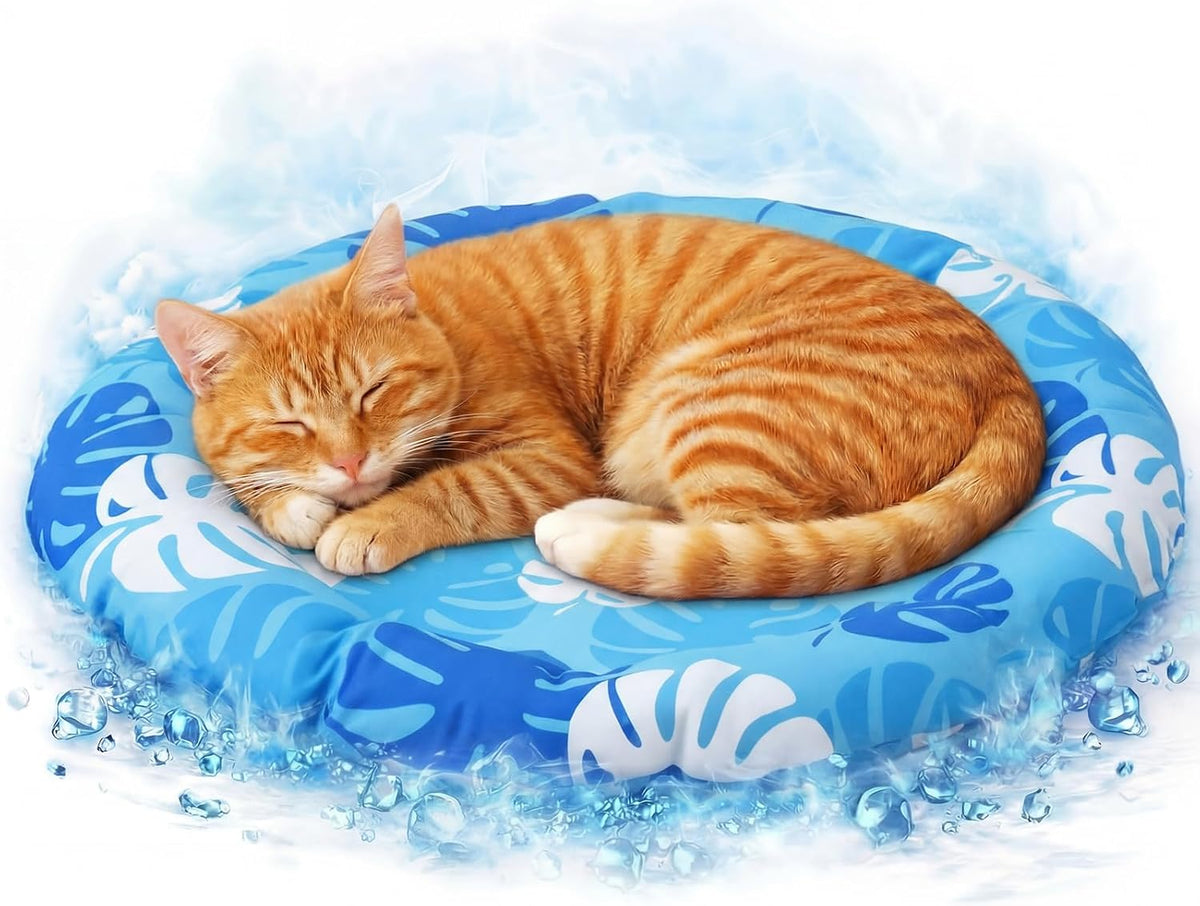 Drydiet Pet Cooling Mat for Cats & Small Dogs, Gel Pad, Washable, 20.1 In