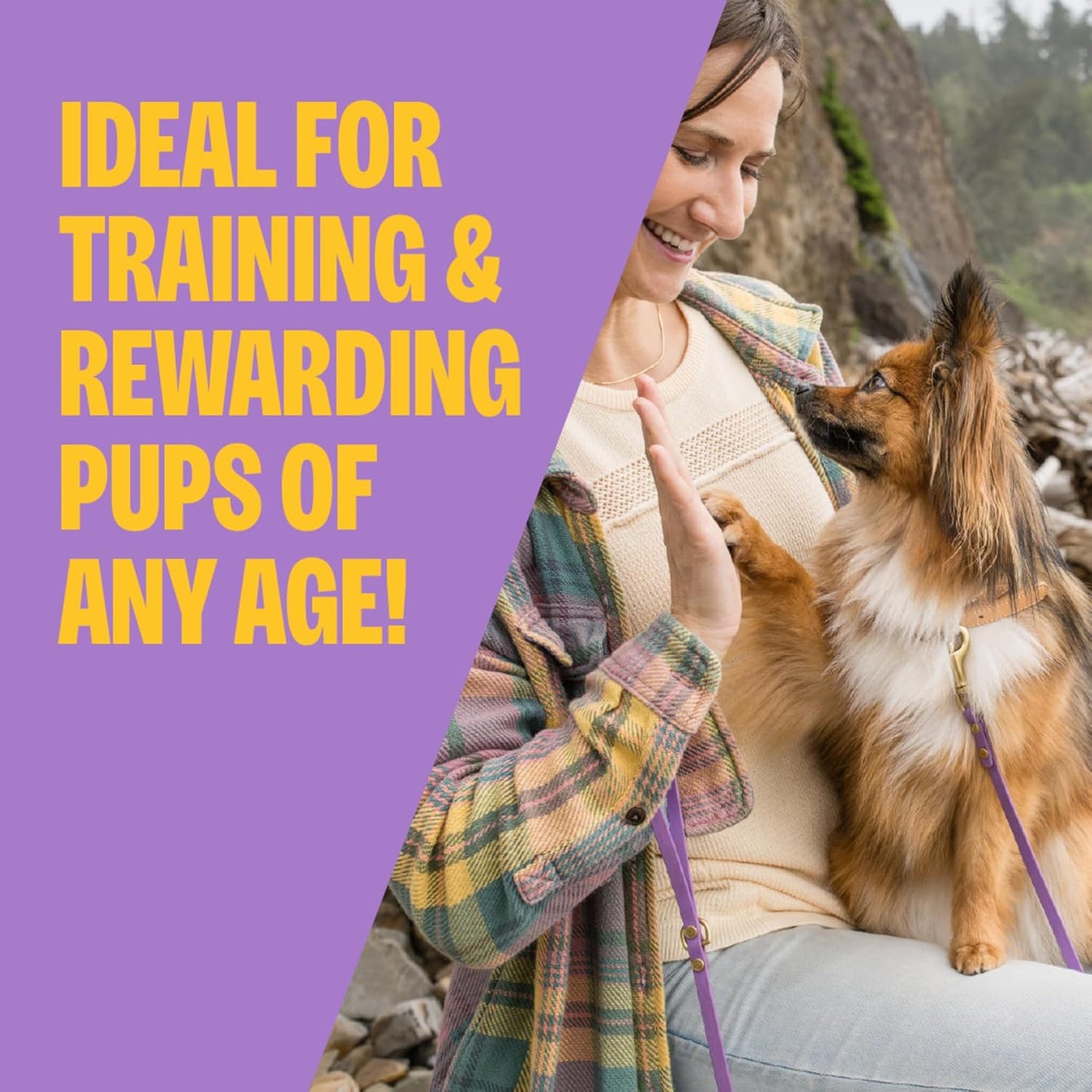 Wellness Soft Puppy Bites Dog Training Treats, Natural, Grain Free, Lamb and Salmon Recipe, 3 Oz Bag