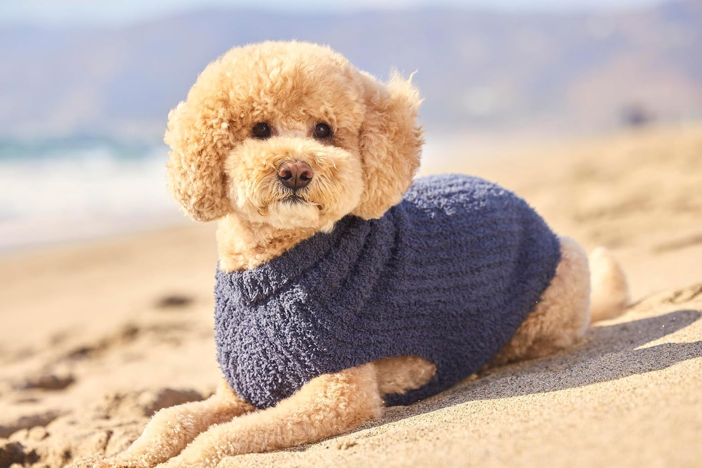Barefoot Dreams® Cozychic® Ribbed Pet Sweater, Slate Blue, Small