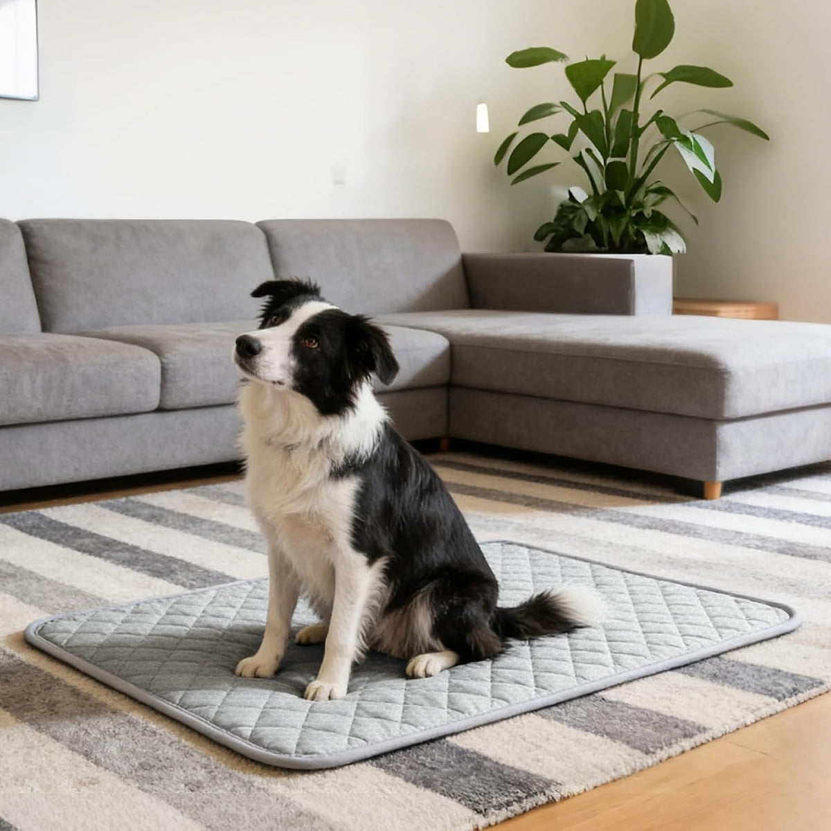 Cooling Mat for Dogs: Premium Waterproof Dog Cooling Blanket, 5-Layer Materials Dog Cooling Mat, Washable Pet Cooling Mat for Summer, Silver Grey Mats Small Dogs