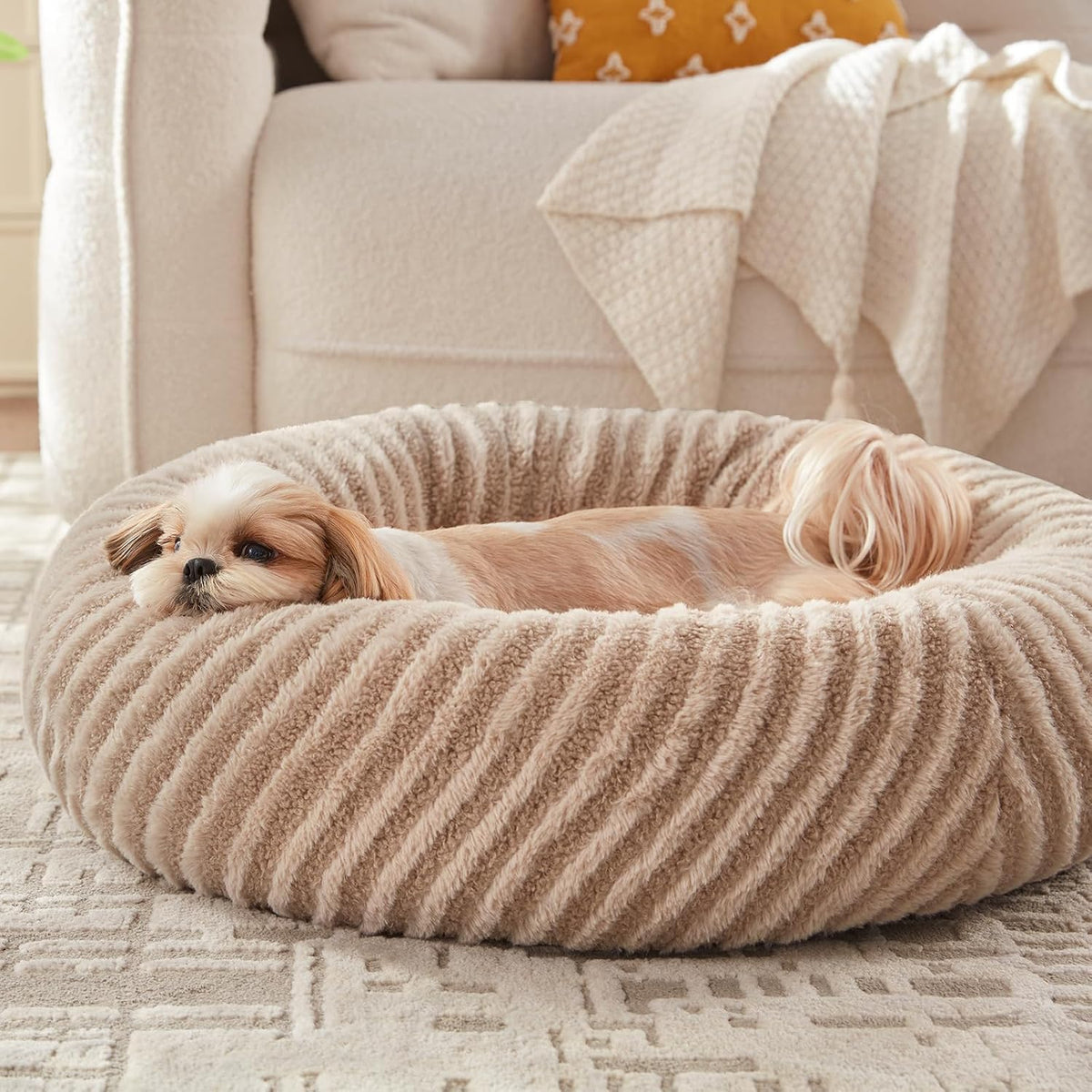 MIXJOY Dog Beds for Small Dogs Cats, Washable Small Dog Bed with Removable Cover, Donut Cat Bed for Indoor Cats, Calming Fluffy round Pet Beds with anti Slip Bottom, Cute Puppy Beds, 23"X23"X8", Beige