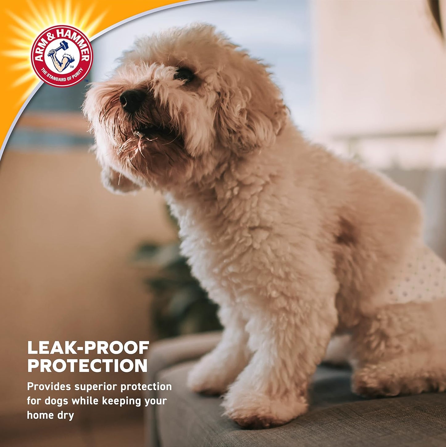 Arm & Hammer X-Small Male Dog Wraps, Disposable Belly Band Diapers with Baking Soda Odor Control, Super Absorbent Leak Resistant Design for Marking and Incontinence, 9-14 Inch Waist, 12 Count