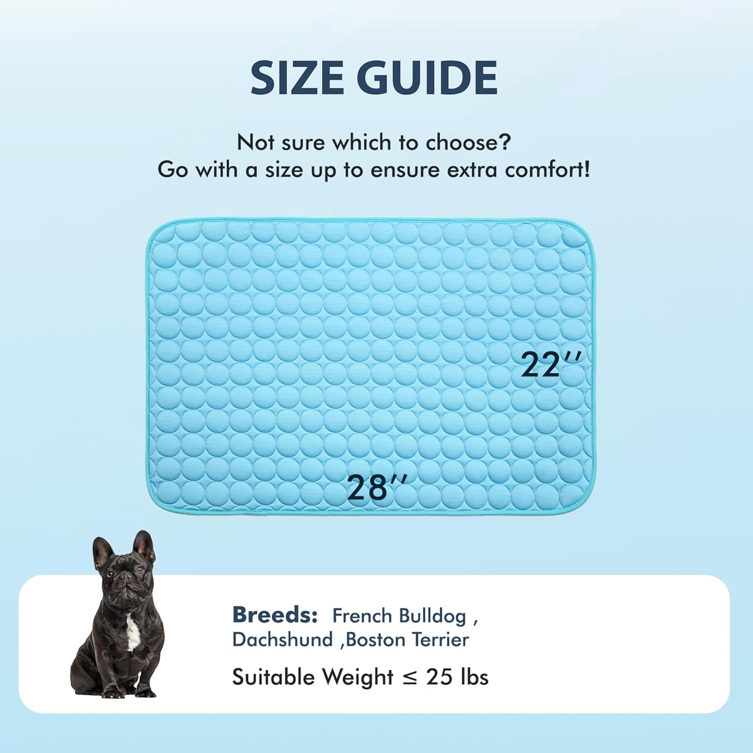 MICROCOSMOS Summer Cooling Mat & Sleeping Pad- Water Absorption Top, Materials Safe, Easy Carry, EZ Clean. Keep Cooling for Pets, Kids and Adults.(Blue, 28" X 22")