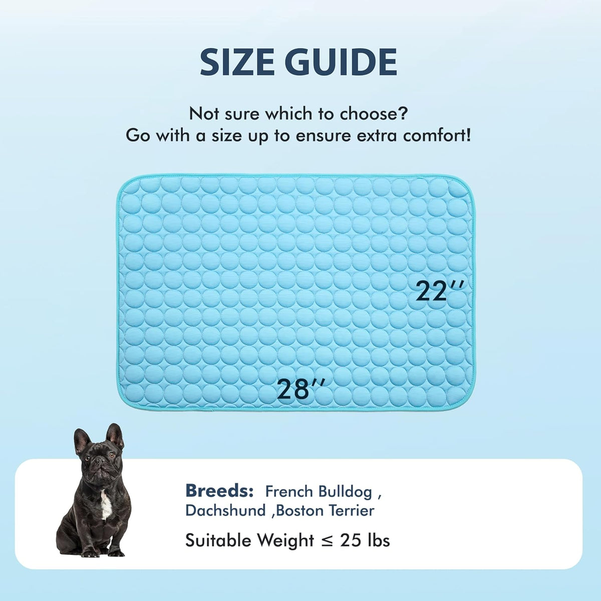 MICROCOSMOS Summer Cooling Mat & Sleeping Pad- Water Absorption Top, Materials Safe, Easy Carry, EZ Clean. Keep Cooling for Pets, Kids and Adults.(Blue, 28" X 22")