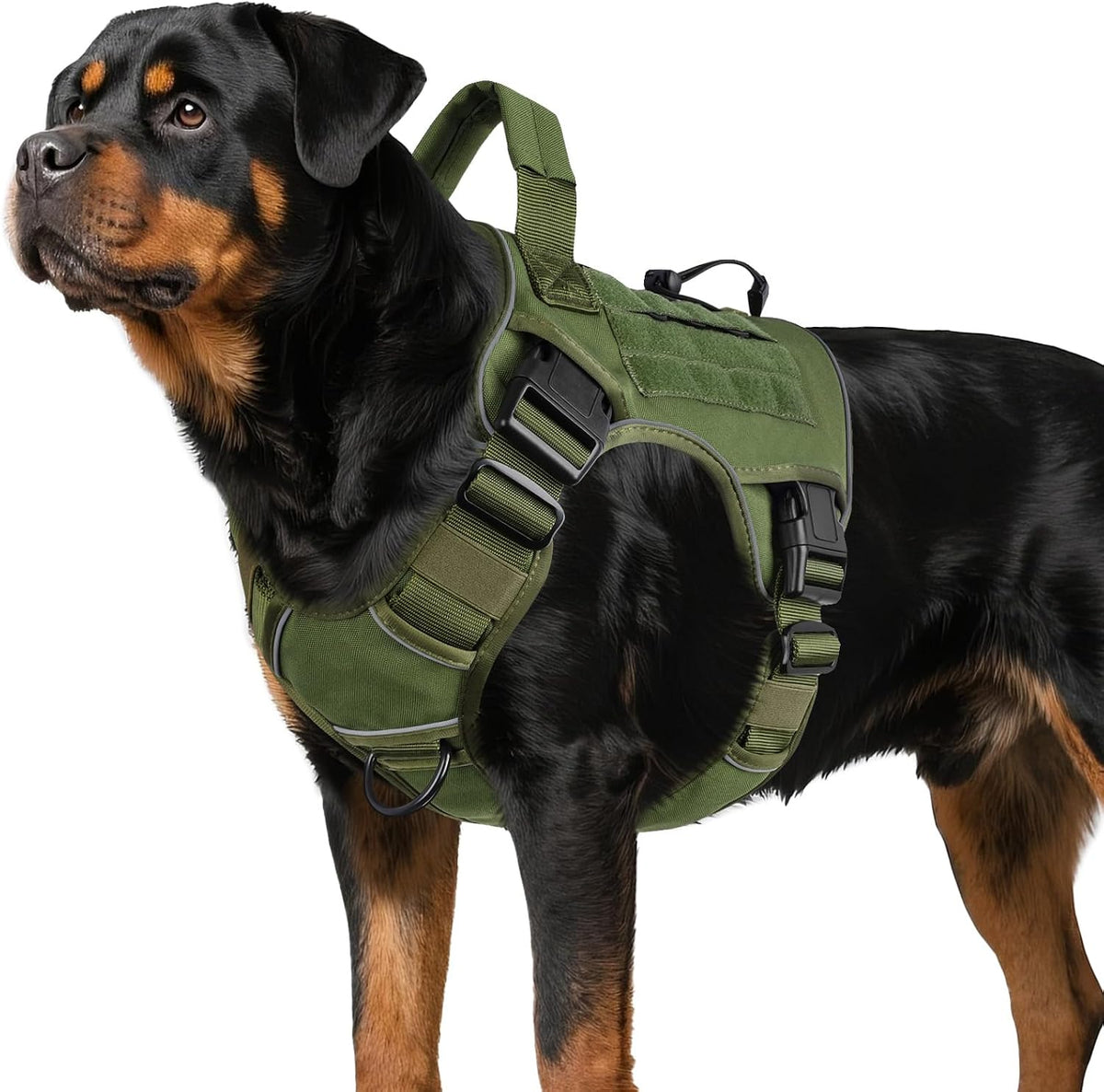 Green Tactical Dog Harness for Large Dogs,No Pull Dog Harness