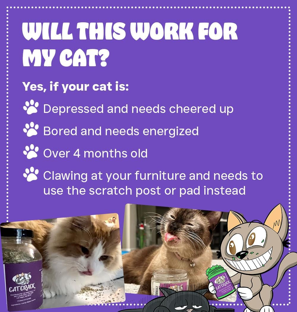 Cat Crack Catnip, Zoomie-Inducing Cat Nip Blend, North American Made & 100% Natural, Safe & Non-Addictive Catnip Treats Used to Supplement Cat Nip Toys, Spray, & Accessories (1 Cup)