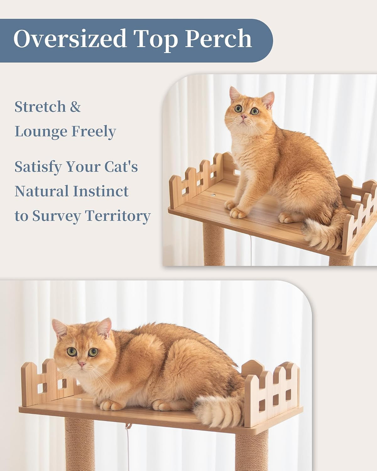 Wood Cat Tree for Indoor Cats, 49 Inch Cats Furniture Tower with Large Platforms, Full Sisal Scratching Posts, Water Proof Surface