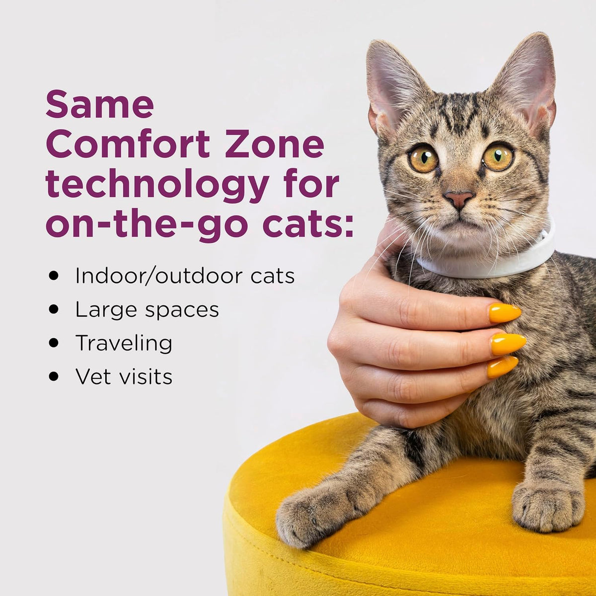 Comfort Zone Cat Calming Collar Savings Pack, 2 30-Day Collars