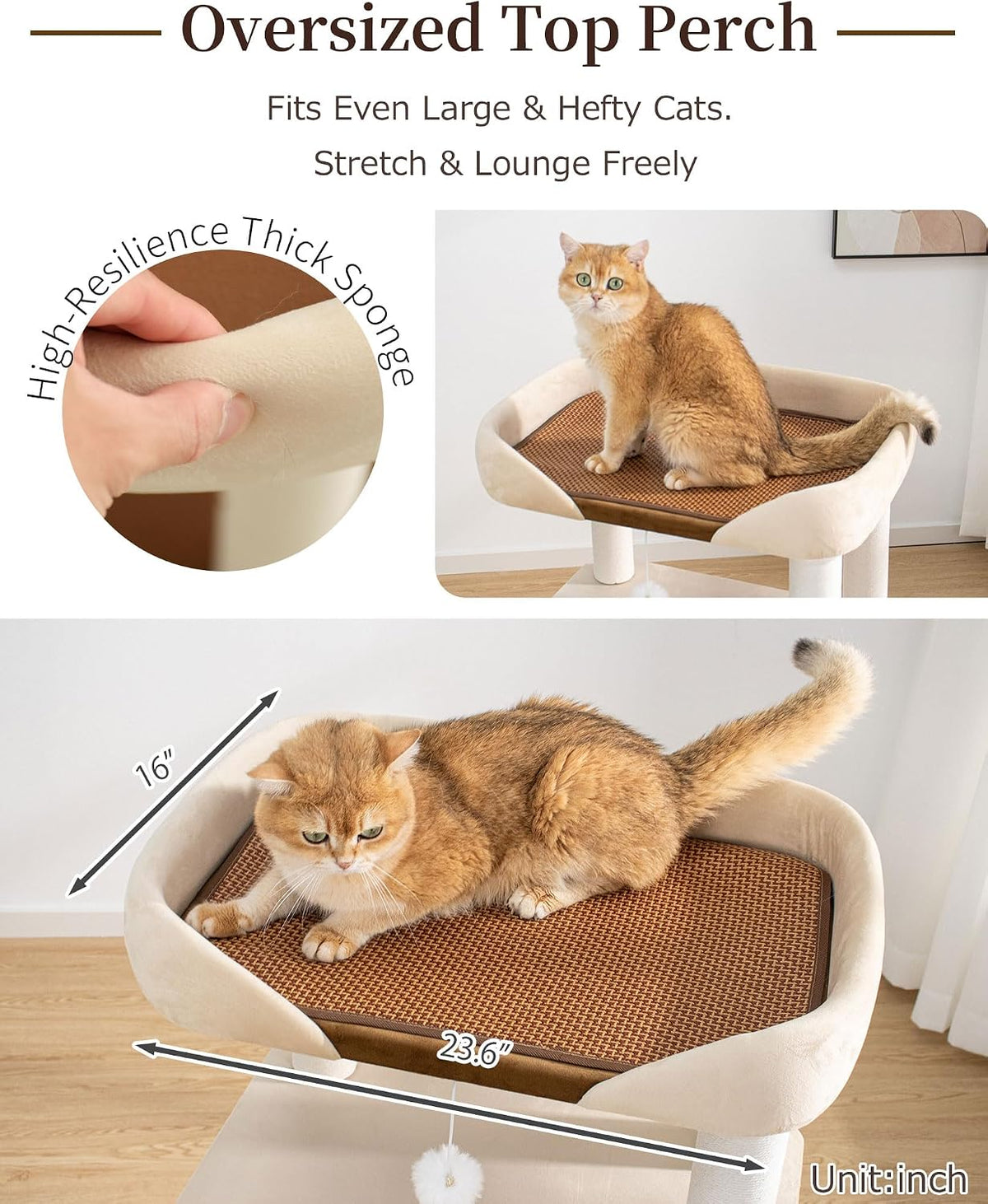 37.5" Cat Tree for Large & Senior Cats with Low Step & Sisal Board