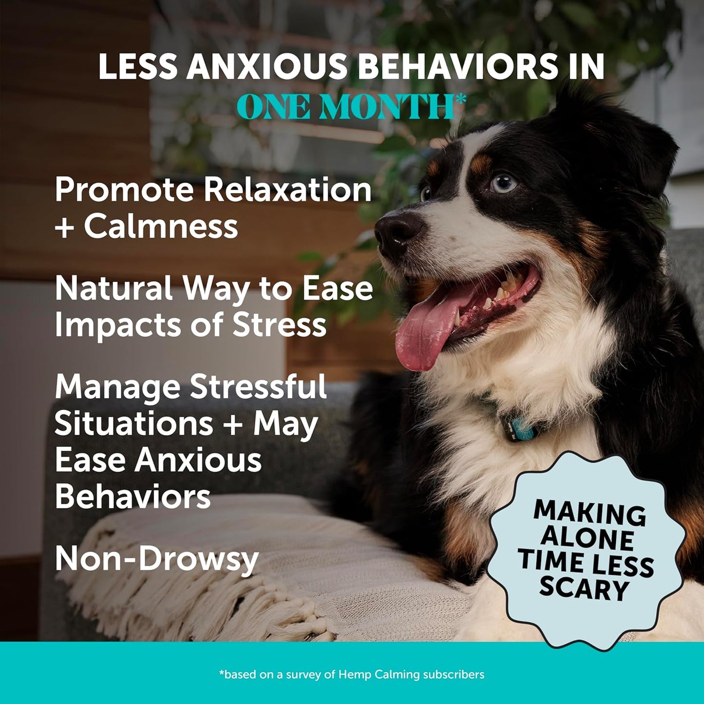 Natural Hemp Dog Calming Chews for Occasional Anxiousness & Stress - Calming Treats for Thunderstorms, Fireworks, Separation & Travel - with Ashwagandha, L-Theanine, Valerian Root (Beef Liver, 90 Ct)