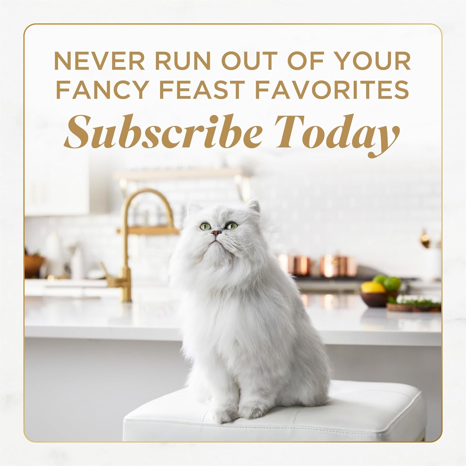 Purina Fancy Feast Petites with Roasted Turkey Entrée with Sweet Potato in Gravy Gourmet Wet Cat Food - (Pack of 12) 2.8 Oz. Tubs