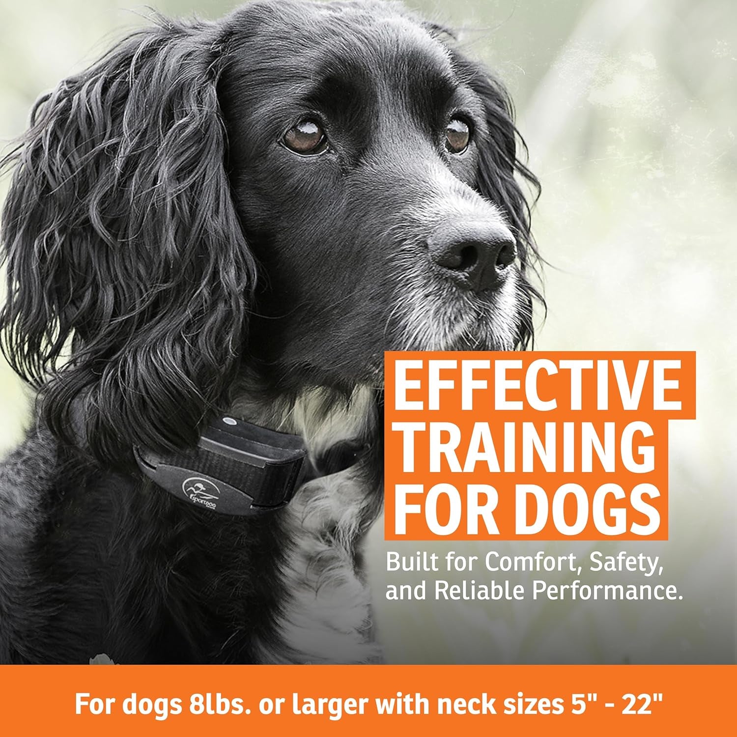 Sportdog Brand Yardtrainer 100 Remote Trainer for Dogs Shock Collar with Remote, Waterproof, Submersible up to 25 Ft, Drytek Technology, Trainer with Shock, Vibrate, and Tone