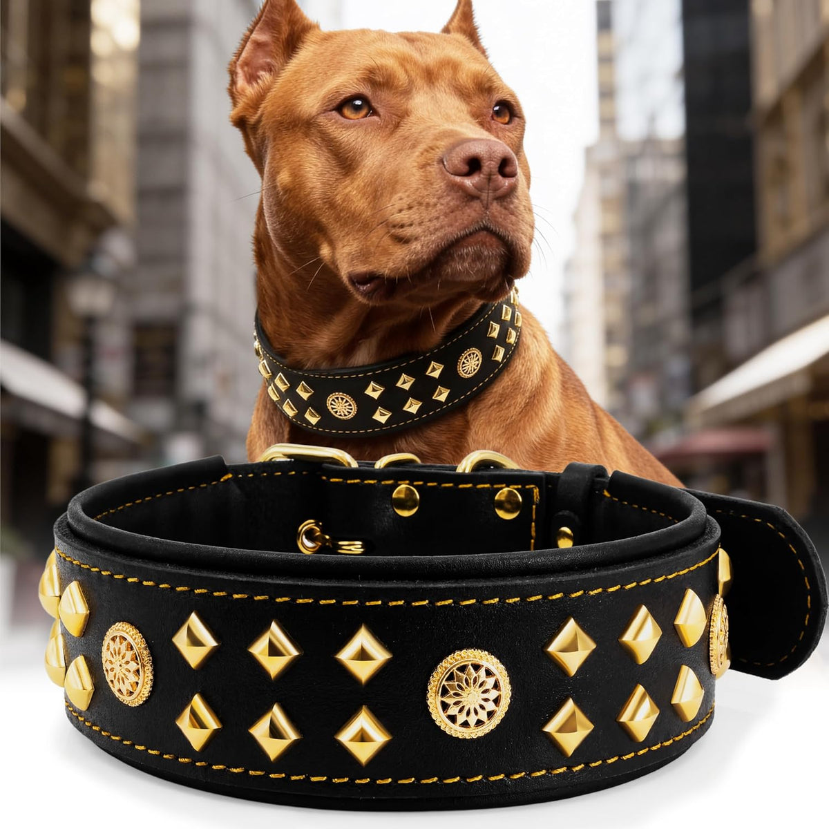 Genuine Leather Dog Collar 2.2 in Wide for Large Dogs Heavy Duty, BK-GD-L