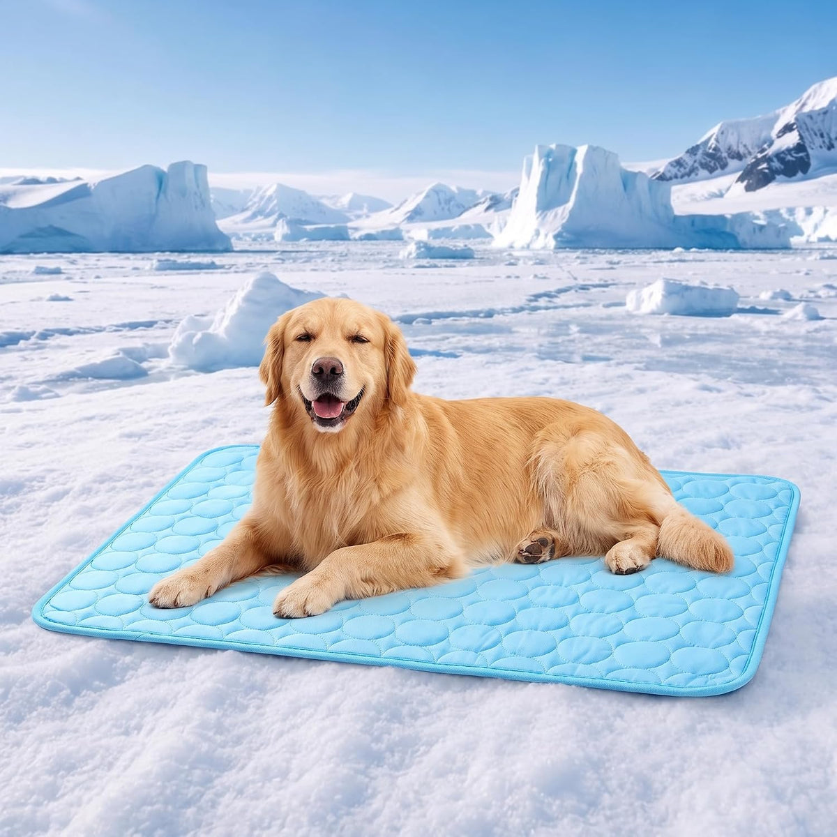 Cooling Mat for Dogs, Large Dog Cooling Mat Outdoor,Self-Cooling Mat for Giant Dogs, Portable & Washable Summer Cool Mat for Car, Crate, and Floor (Blue,59"X39")