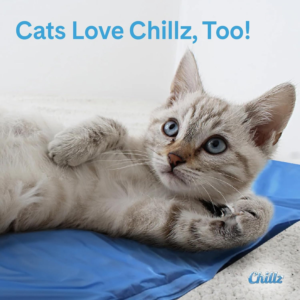 The Green Pet Shop Chillz Gel Mat, Large - Pressure-Activated Cooling Pad for Pets 25-50 Lbs - Non-Toxic, No Water or Refrigeration Needed - Ideal for Home, Travel & Crates