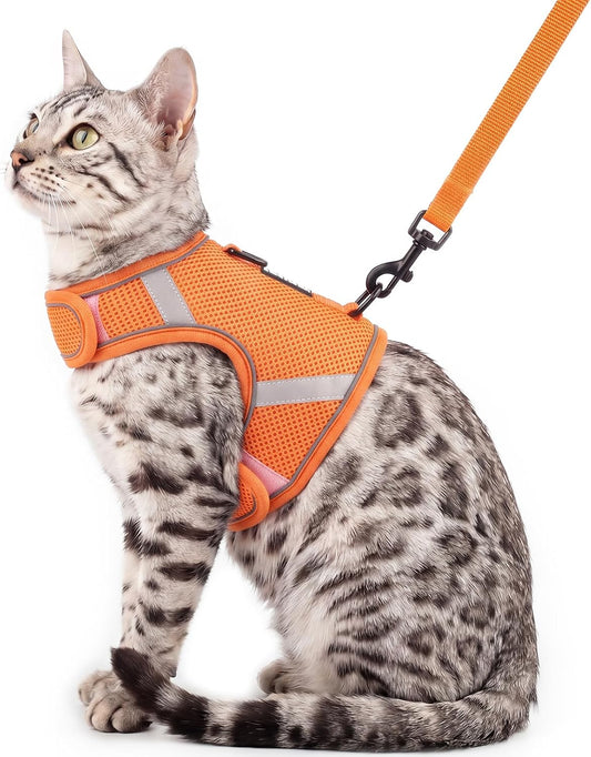 Cat Harness and Leash Set, No Over-The-Head Cat Vest, Orange, XL